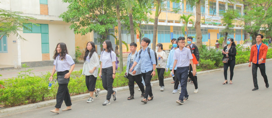 Undergraduate Programs